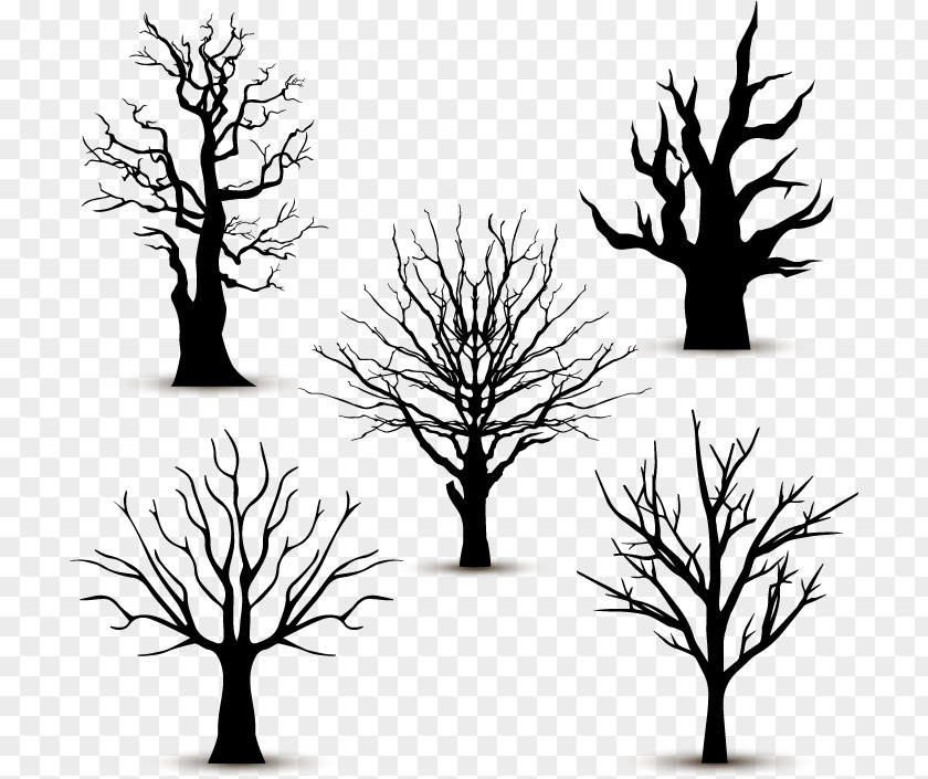 Vector Graphics Tree Branch Image PNG