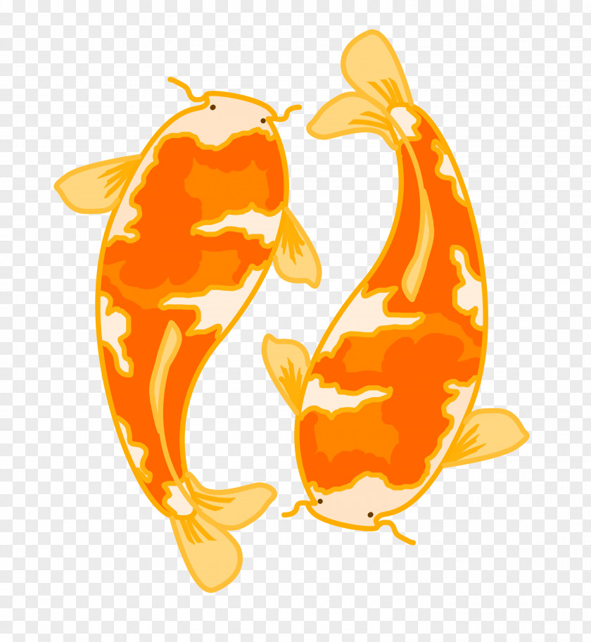 Brocade Carp Koi Common Goldfish Aquarium Illustration Ornamental Fish PNG