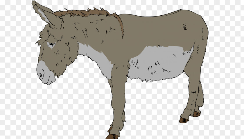 Donkey Clipart Realistic Clip Art Openclipart Free Content Image PNG