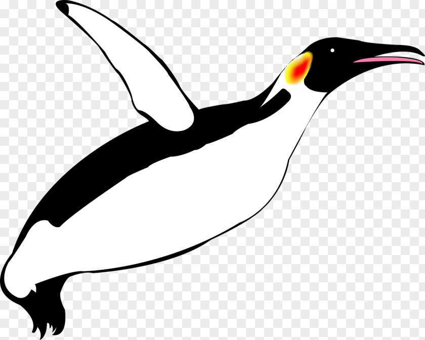 Penguins Tux Racer Penguin Bird PNG