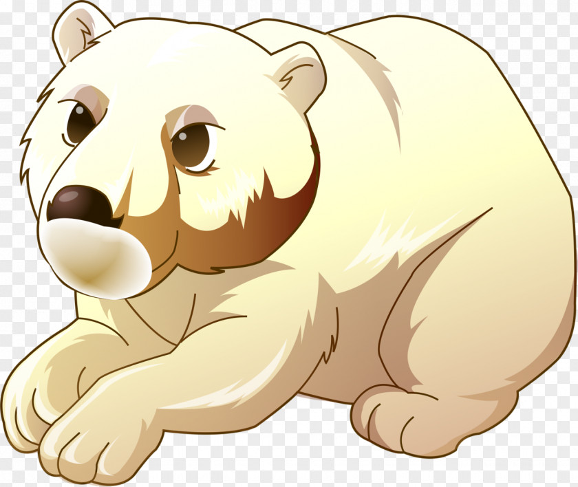 Polar Bear Arctic Brown Los Osos Polares PNG