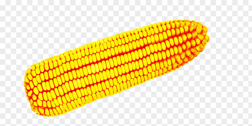 Corn On The Cob Maize Download Icon PNG
