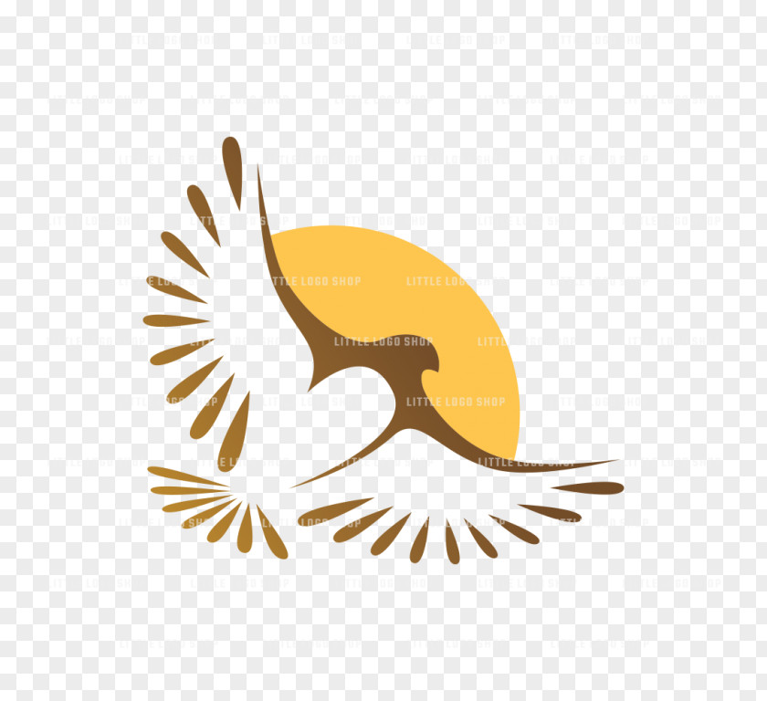 Eagle Bald Clip Art Bird Beak PNG