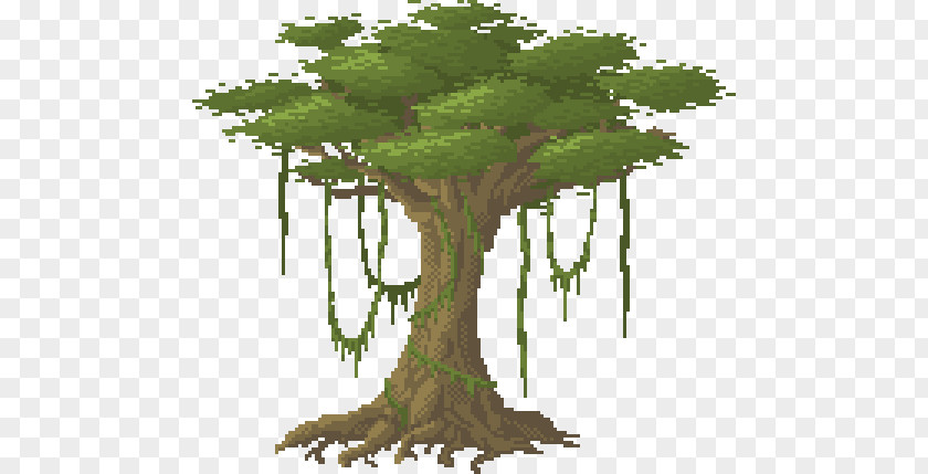 Jungle Branch Drawing Tree PNG