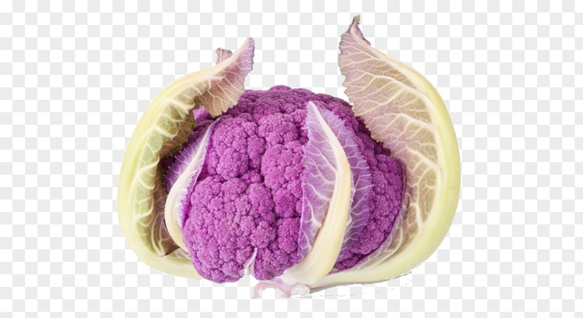 Leave The Vegetable Material Cauliflower Stock Photography Purple PNG