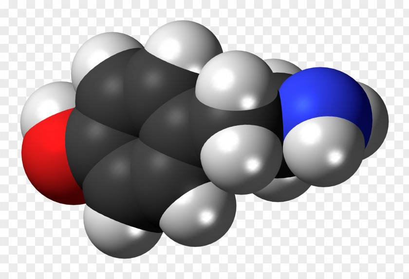 Norepinephrine Dopamine ADRENALINE USA VOLLEYBALL Hormone PNG