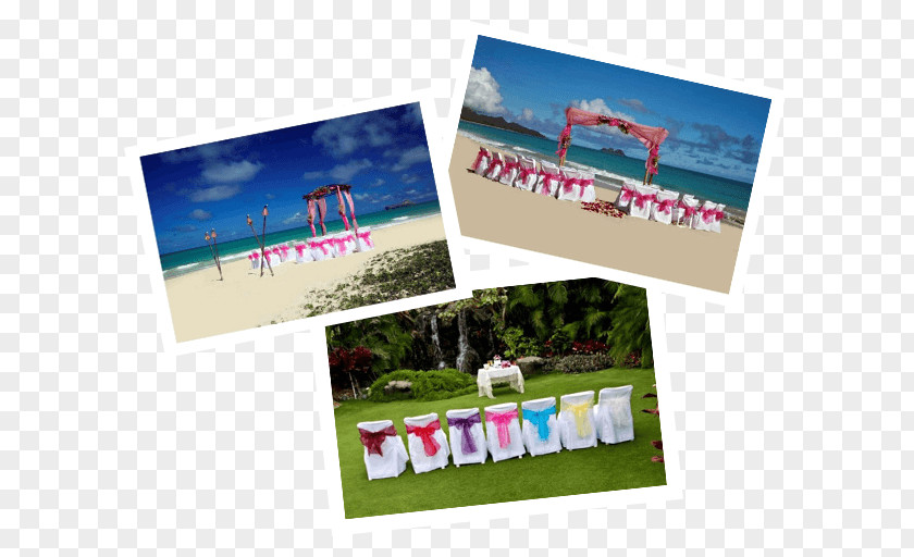 Wedding Deco Hawaiian Beaches Paper PNG