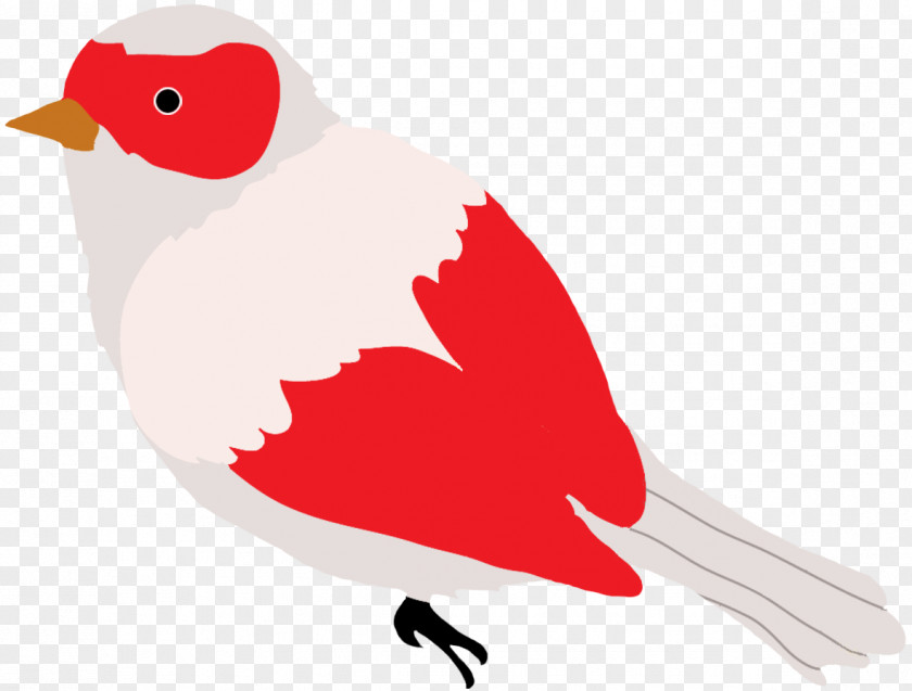 Birds Hummingbird Coloring Book Clip Art PNG