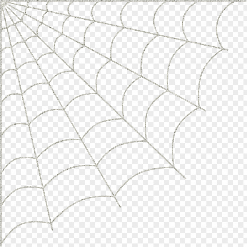 Cobweb White Structure Point Angle Pattern PNG