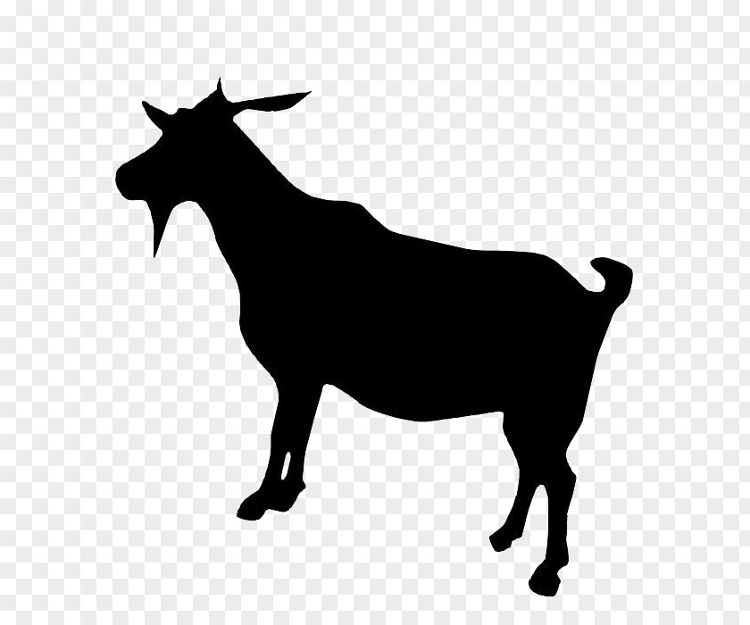 Goat Boer Dorper Cattle PNG