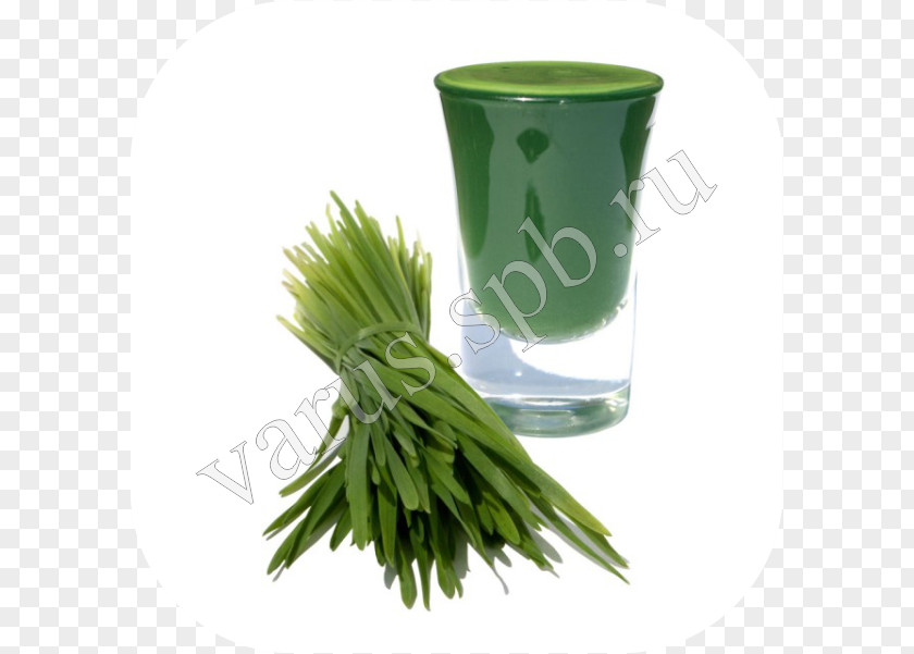 Juice Spelt Wheatgrass Health Farro PNG