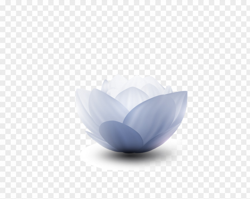 Lotus Nelumbo Nucifera Icon PNG