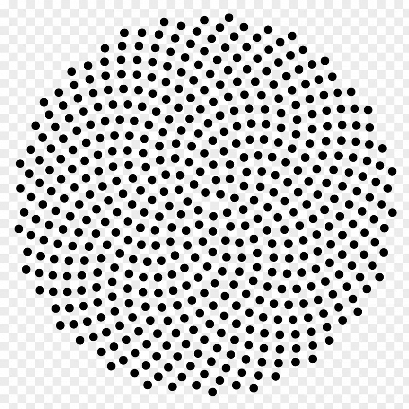 Mathematics Quasicrystal Fibonacci Number Spiral Patterns In Nature Circle PNG