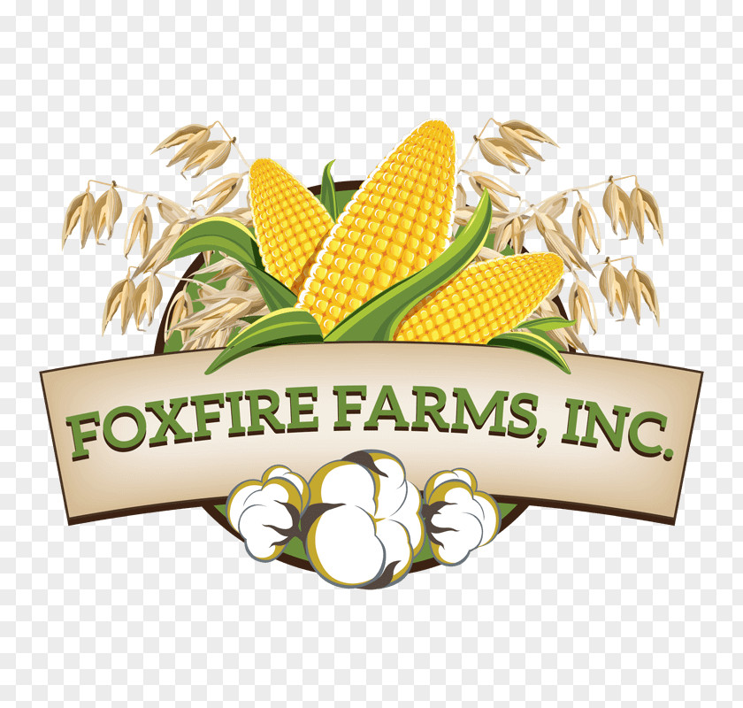 Stonyfield Farm Inc Logo Product Commodity Font Brand PNG