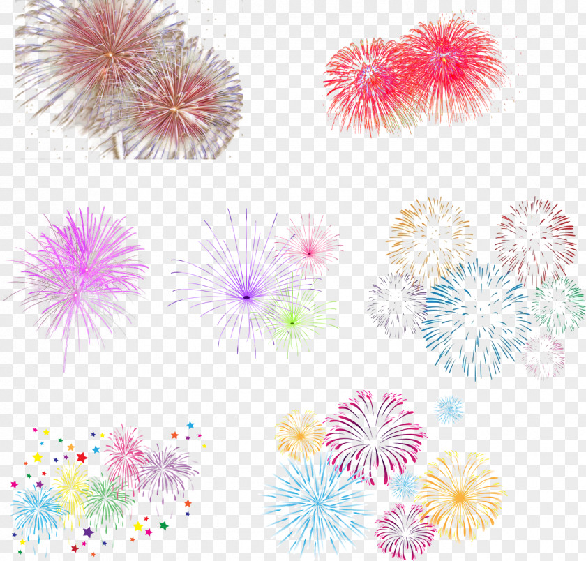 All Kinds Of Fireworks Icon PNG