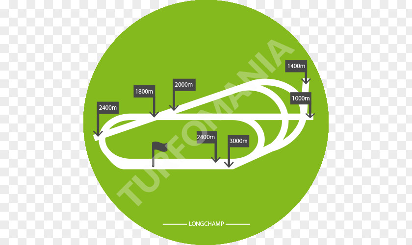 Arc De Triomphe Medicine Grünenthal USA, Inc. Pain Grunenthal B.V. PNG