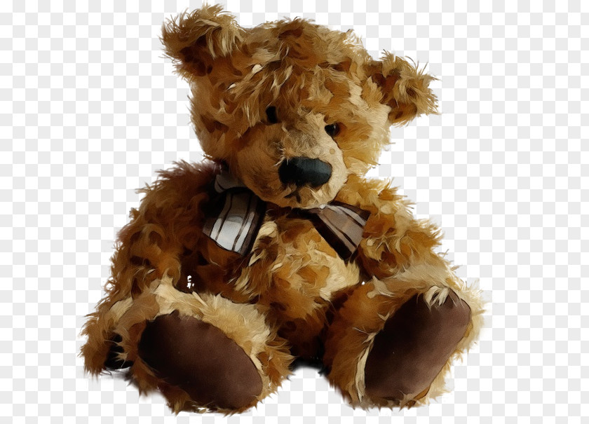 Bear Plush Teddy PNG