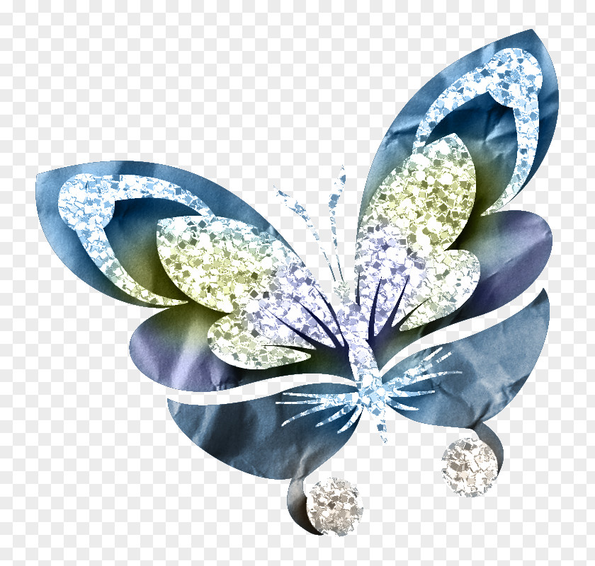 Butterfly Blue-green Insect Color PNG