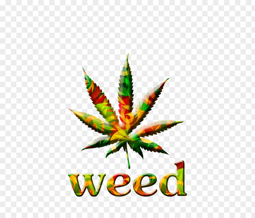 Cannabis Smoking Birthday 420 Day PNG