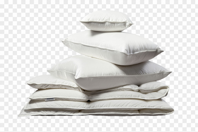 Dust Mites Kleen-Eco Ltd Laundry Duvet Futon Pillow PNG