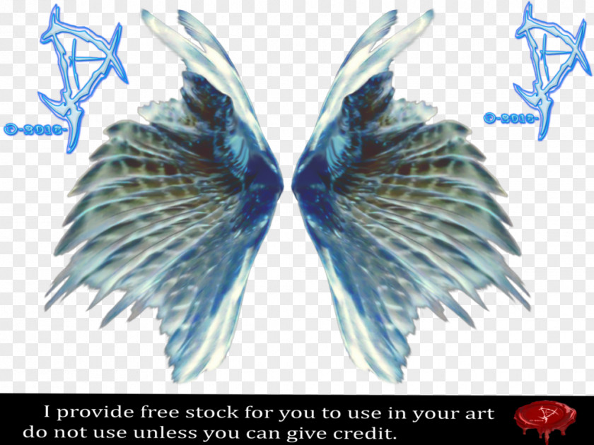 Fairy Titania Feather Airbrush Rendering PNG