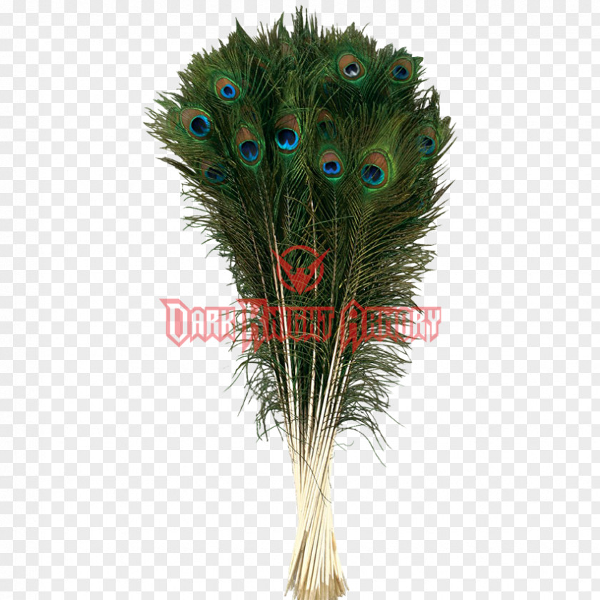 Feather Peafowl Tail Fur Hair PNG