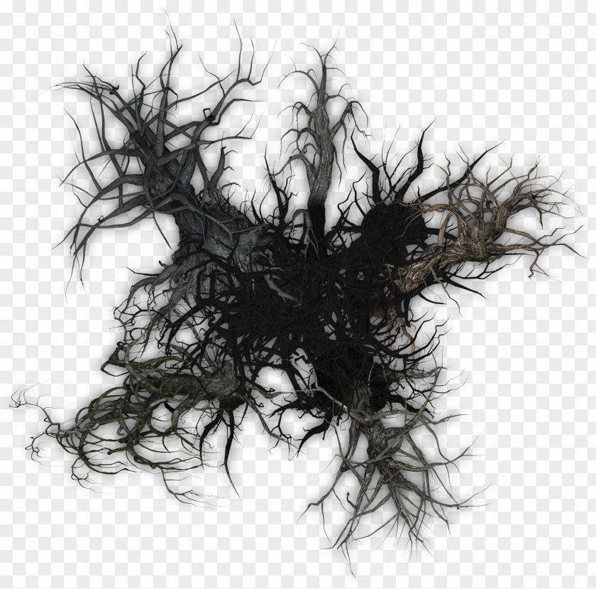 Tree Long Hair White PNG