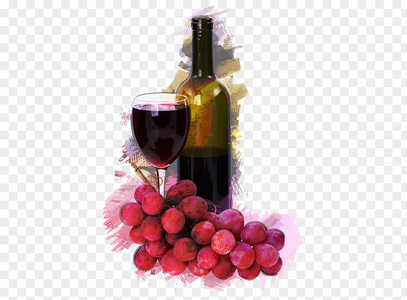 Wine Red Common Grape Vine Drawing Painting PNG