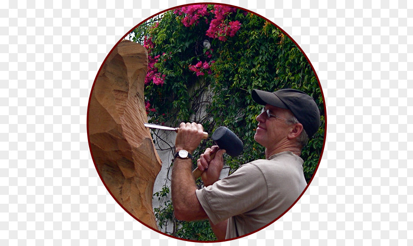 Wood Biography Tree Sculpture Carpenter PNG