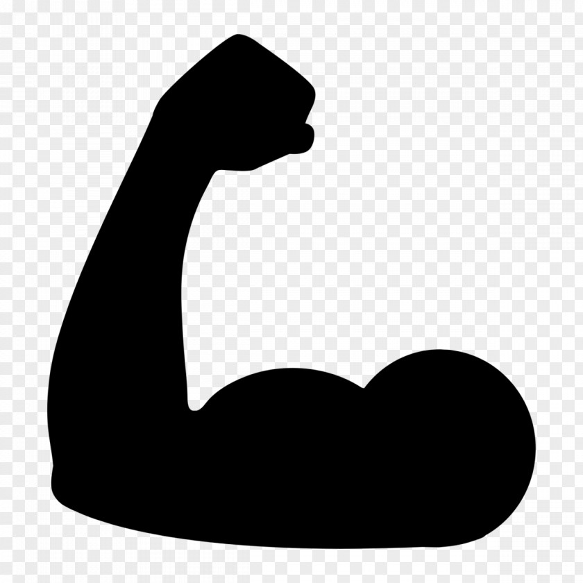 Barbell Arm Biceps Muscle PNG