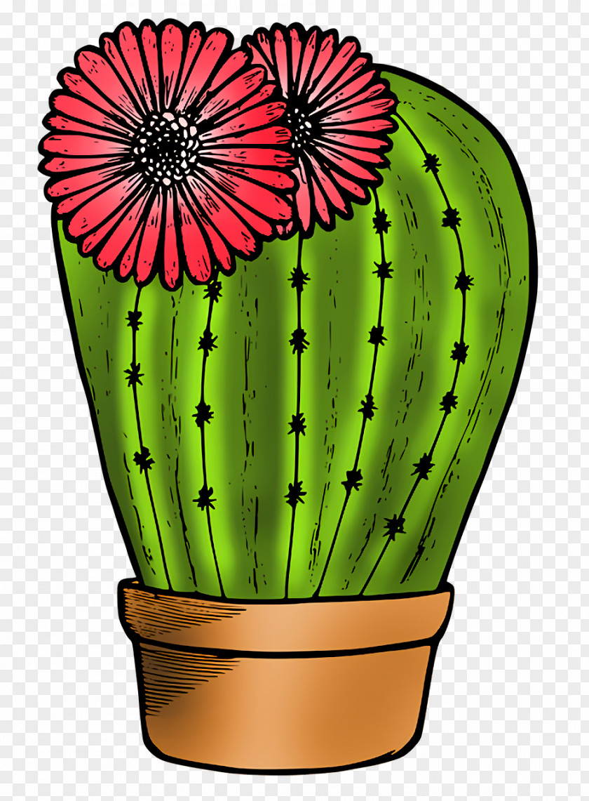 Flower Flowerpot Citroën Cactus M Plants Science PNG