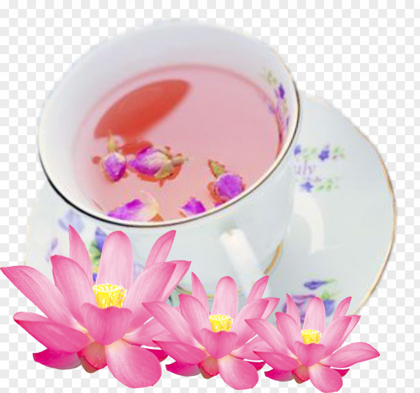 Rose Tea Flowering Coffee Beach Cafe PNG