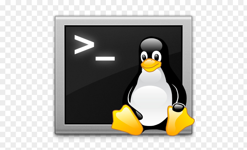 Shell Script Command-line Interface Unix Bash PNG