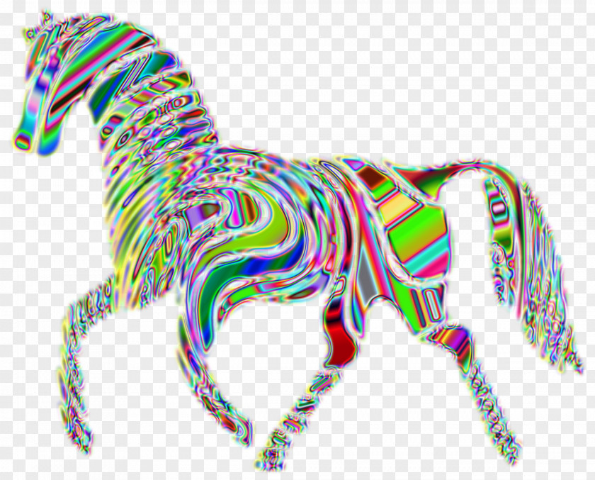 Arabian Horse Equestrian Blanket Pony Clip Art PNG
