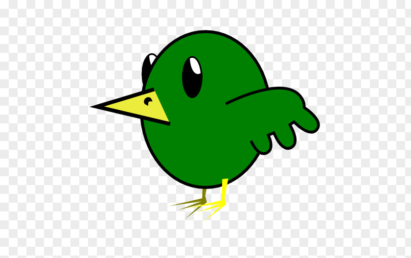 Bird Graphics Parrot Cartoon Clip Art PNG