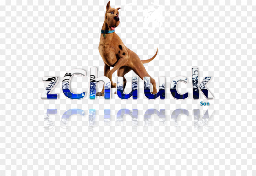 Dog Scooby-Doo! Logo Brand Wildlife PNG