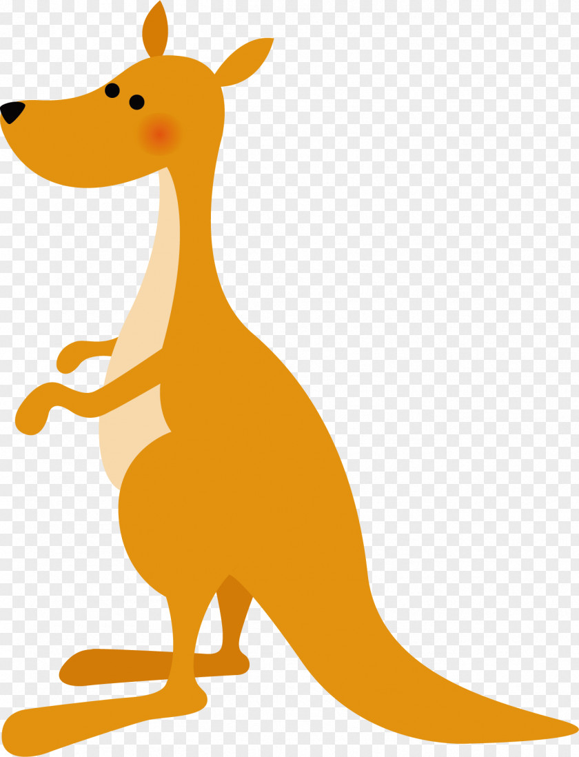 Yellow Kangaroo Vector Macropodidae Koala Platypus PNG