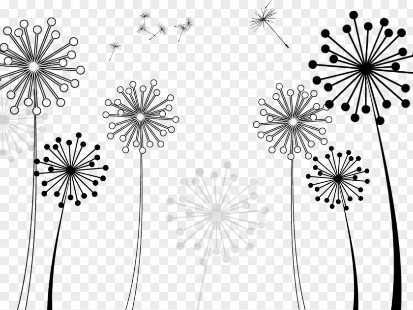 Black Dandelion Common Taraxacum Platycarpum Icon PNG