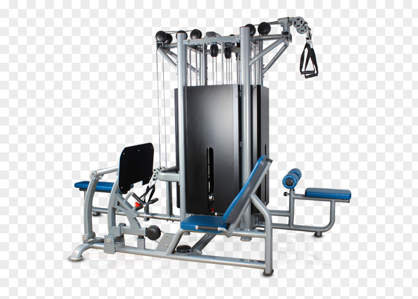 Bodybuilding Fitness Centre Exercise Equipment Physical PNG