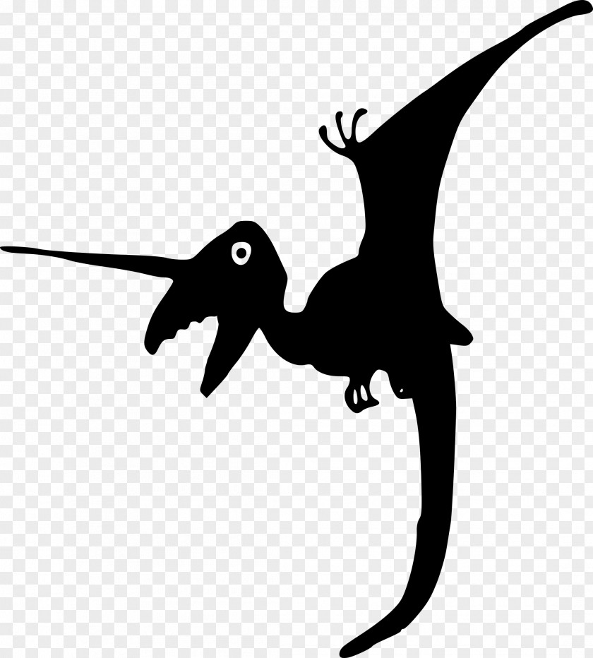 Flock Of Birds Dinosaur Questions Compsognathus Velociraptor Clip Art PNG