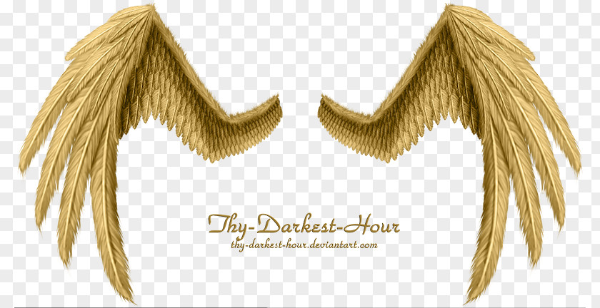 Golden Wings Wing PNG