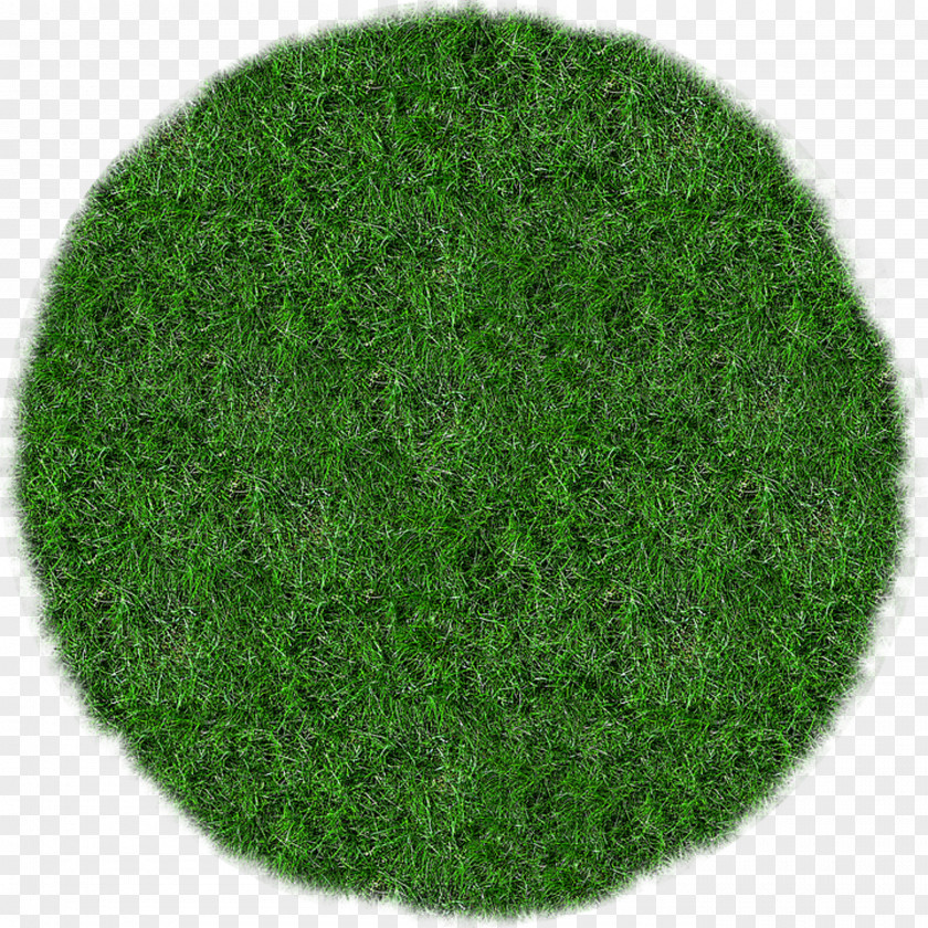 Grass Lawn Mowers Meadow PNG