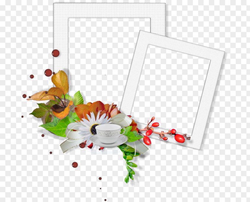 Picture Frames Photography PNG