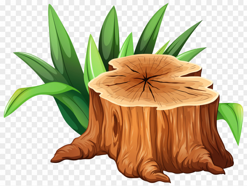 Stump Tree Trunk Clip Art PNG