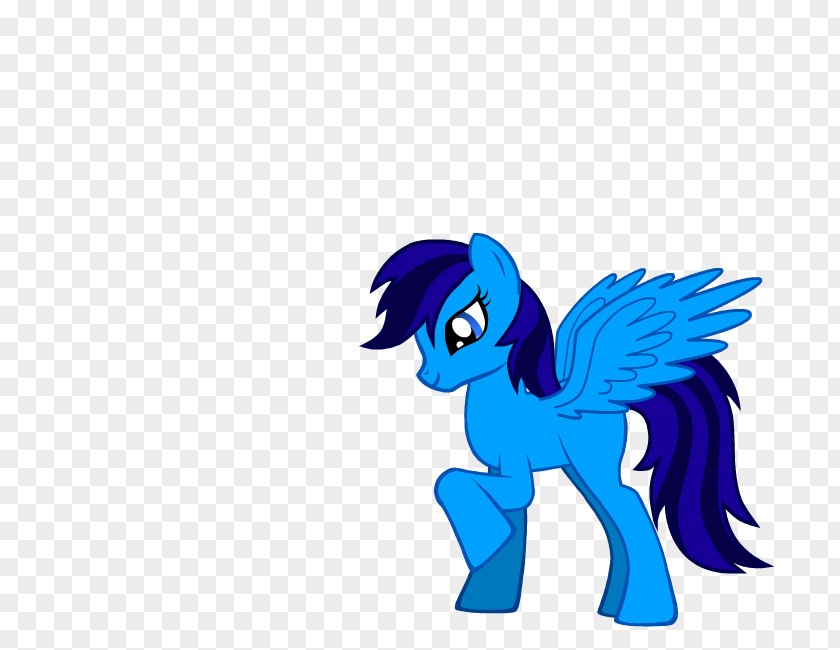 Ve Pony Twilight Sparkle Pinkie Pie Rarity Applejack PNG