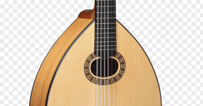 Acoustic Guitar Cuatro Cavaquinho Ukulele Tiple PNG