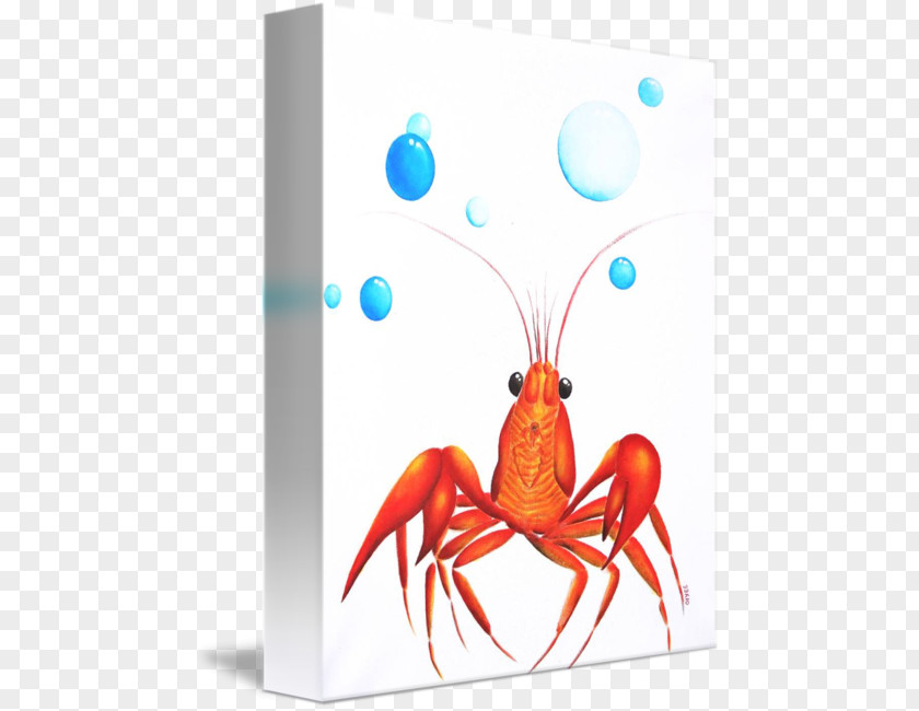 Chasing Dreams Lobster Insect Pest PNG