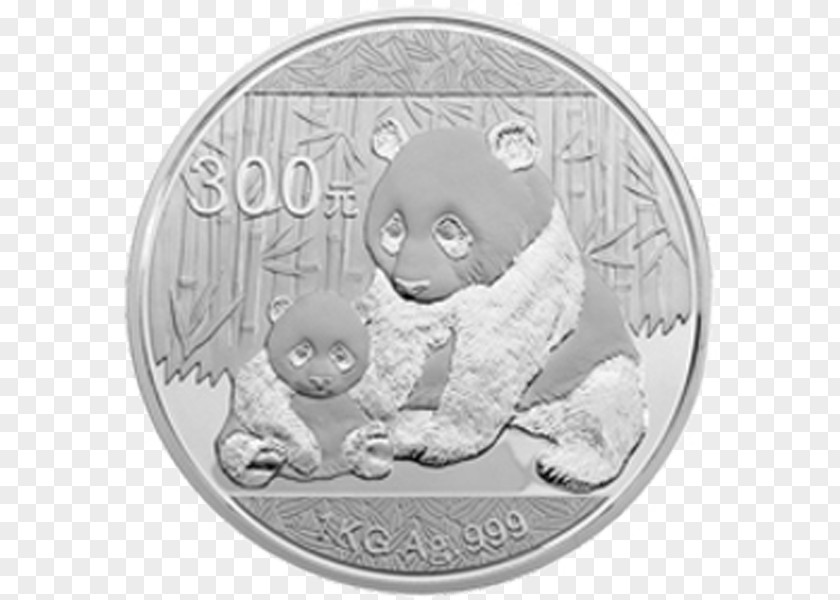 Coin Giant Panda Silver Bear Gold PNG