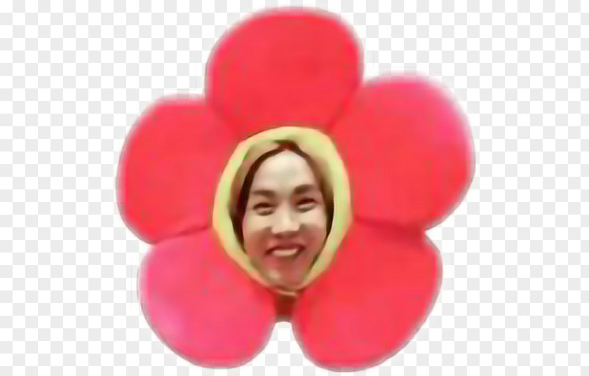 Flower BTS Love Yourself: Her Daydream Image PNG