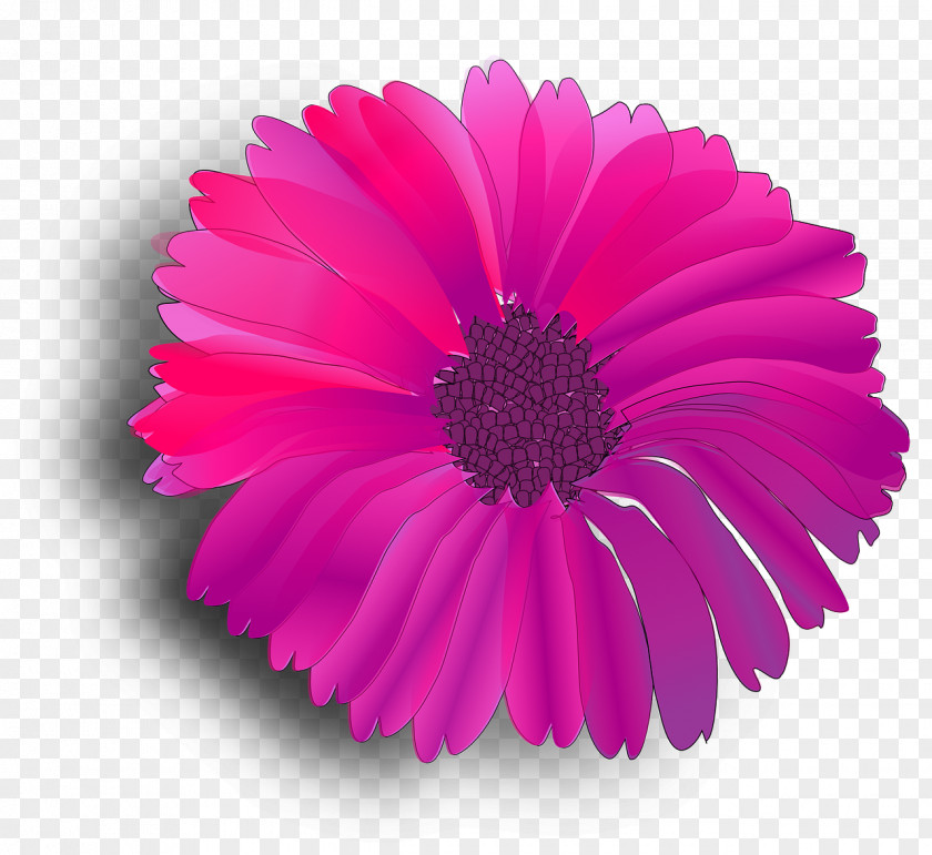 Flower Clip Art Fuchsia Image Vector Graphics PNG